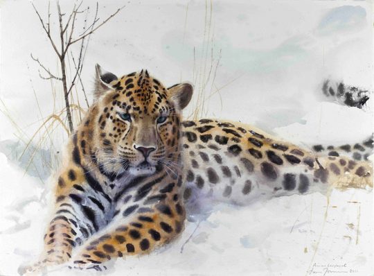aquarel-amurleopard